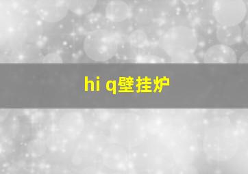 hi q壁挂炉